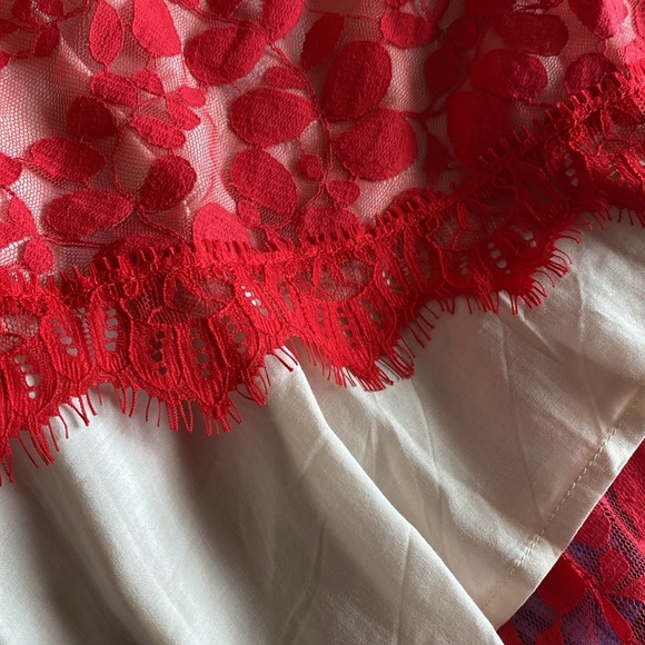 Free People, size 6, red floral mesh lace, fit and flare dress - Picture 12 of 13